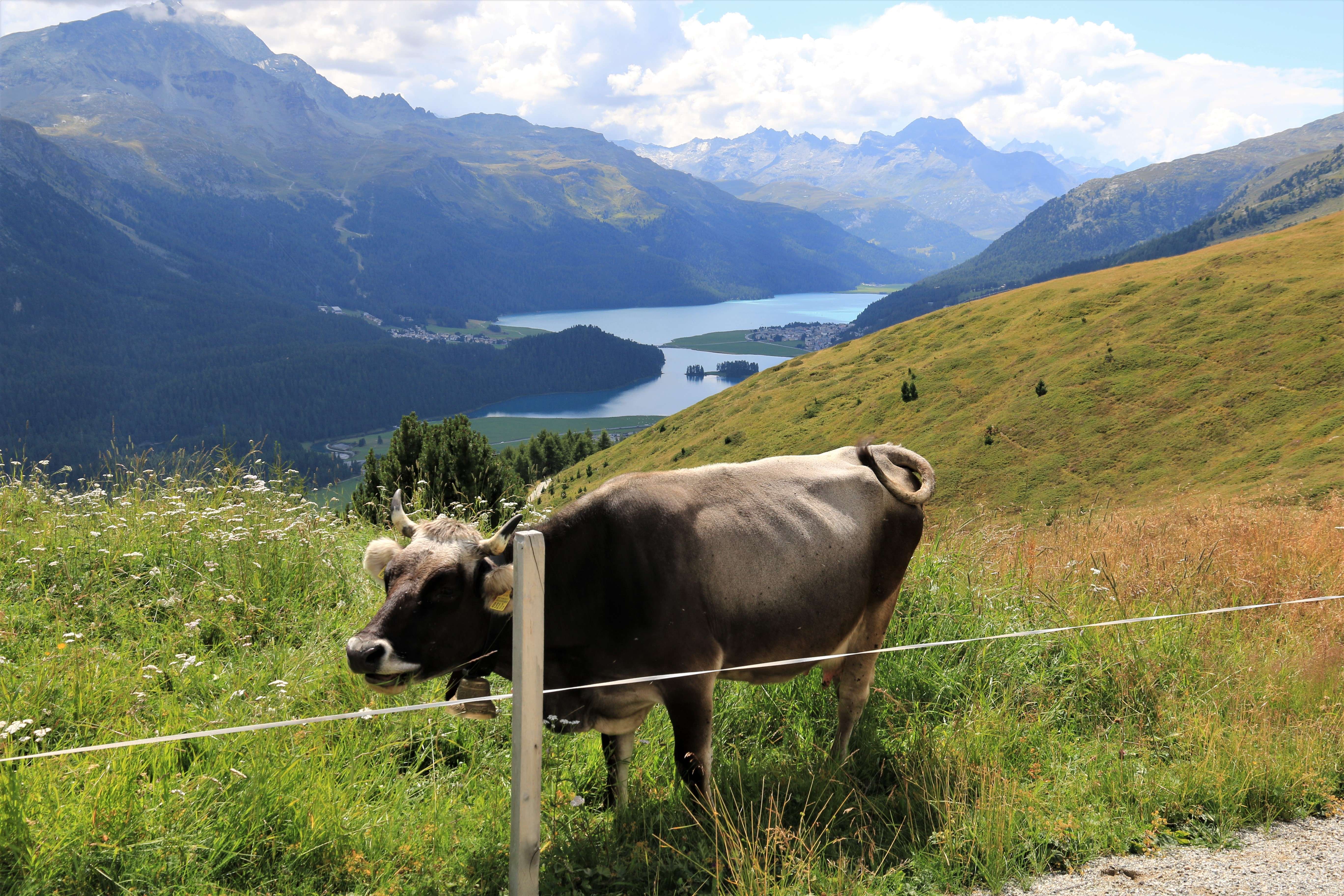 Switzerland